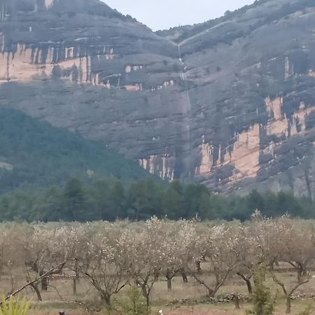 Mas De Manresa Διαμέρισμα Horta de Sant Joan Εξωτερικό φωτογραφία