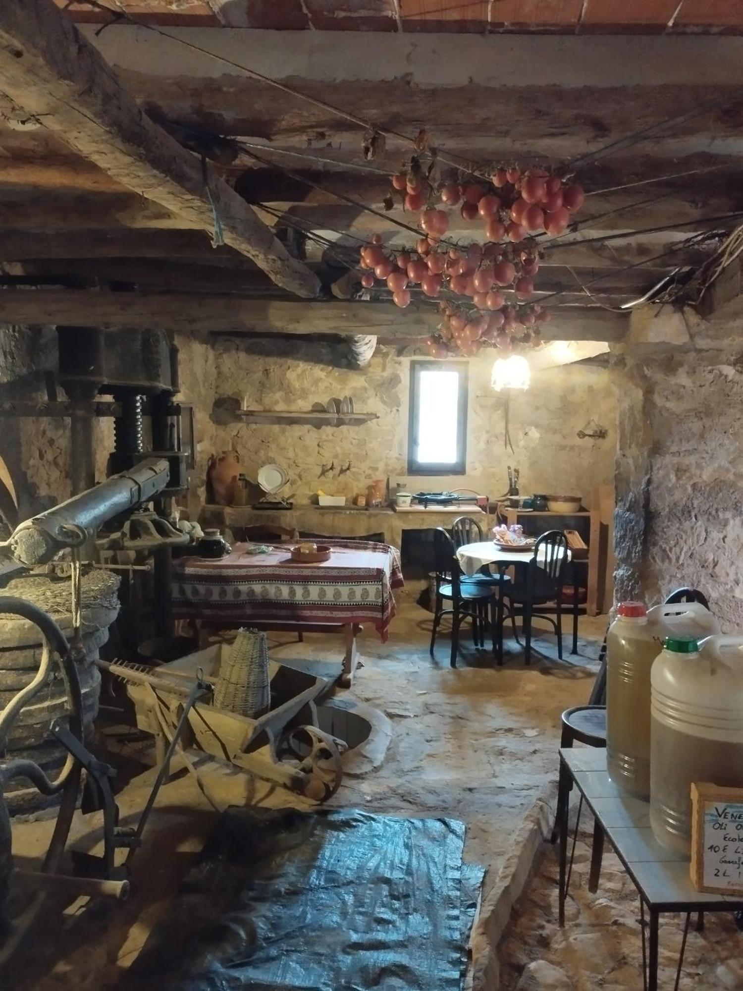 Mas De Manresa Διαμέρισμα Horta de Sant Joan Εξωτερικό φωτογραφία