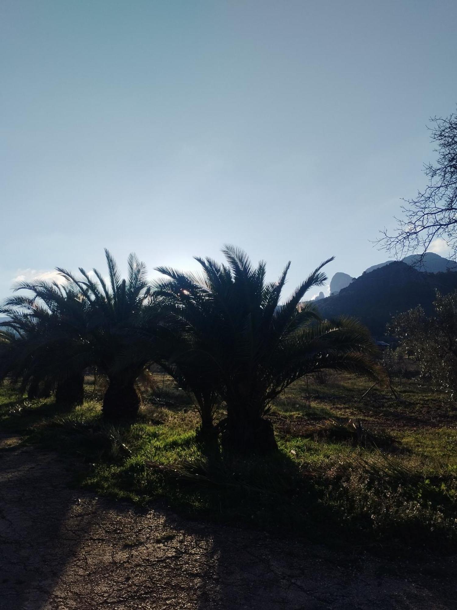 Mas De Manresa Διαμέρισμα Horta de Sant Joan Εξωτερικό φωτογραφία