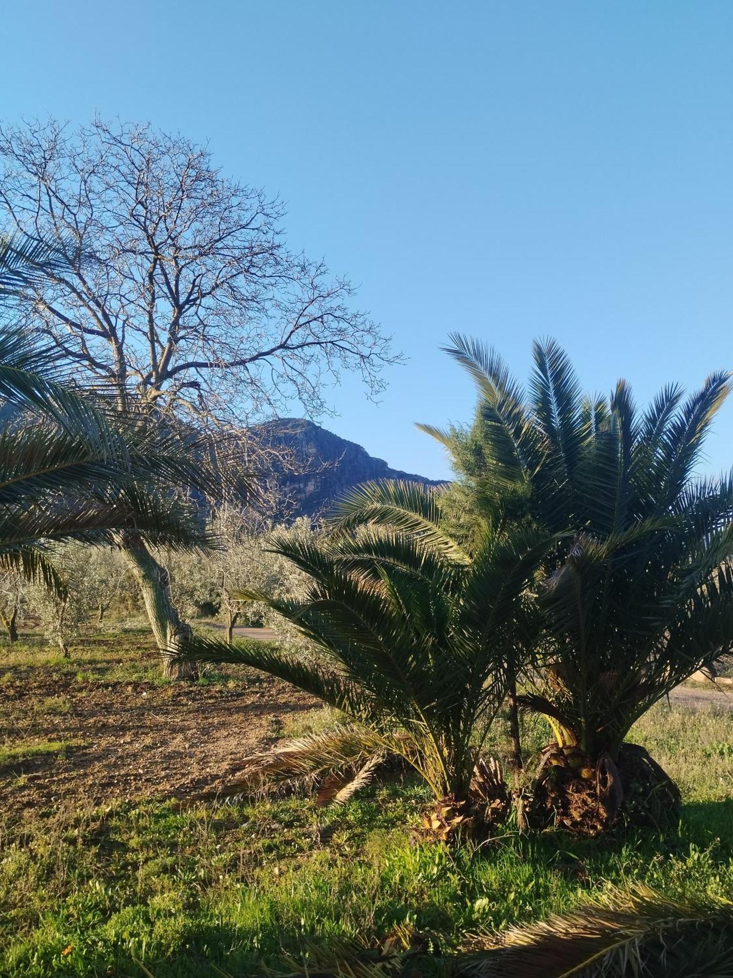 Mas De Manresa Διαμέρισμα Horta de Sant Joan Εξωτερικό φωτογραφία