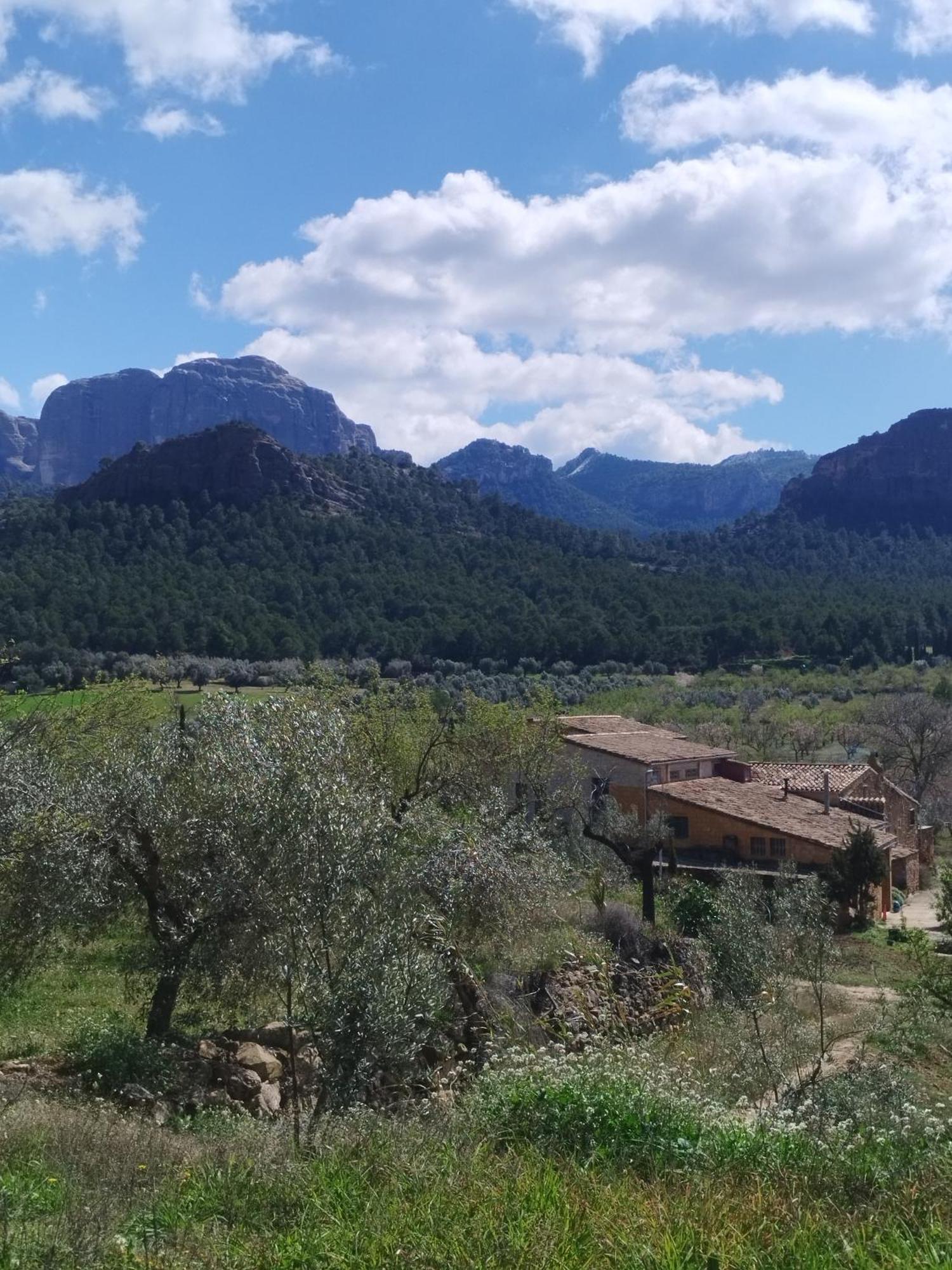 Mas De Manresa Διαμέρισμα Horta de Sant Joan Εξωτερικό φωτογραφία